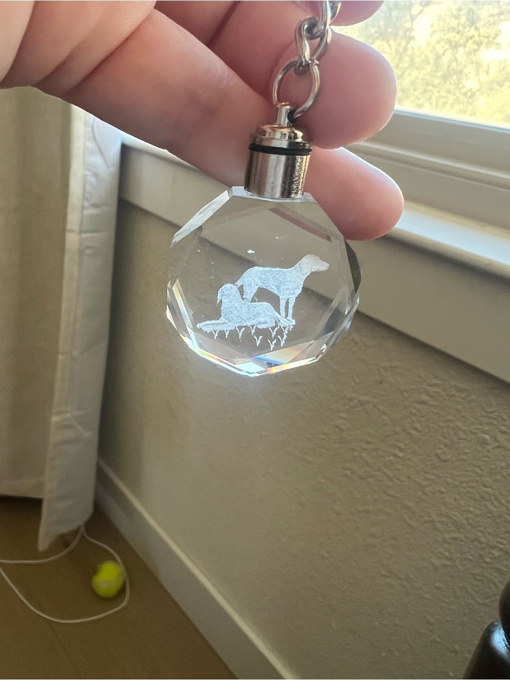 LED Light-Up Crystal Dog Keychain – Engraved – Untested – Box Included